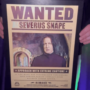 Wanted 1